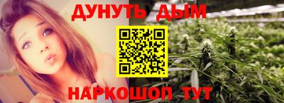 дмт Новозыбков