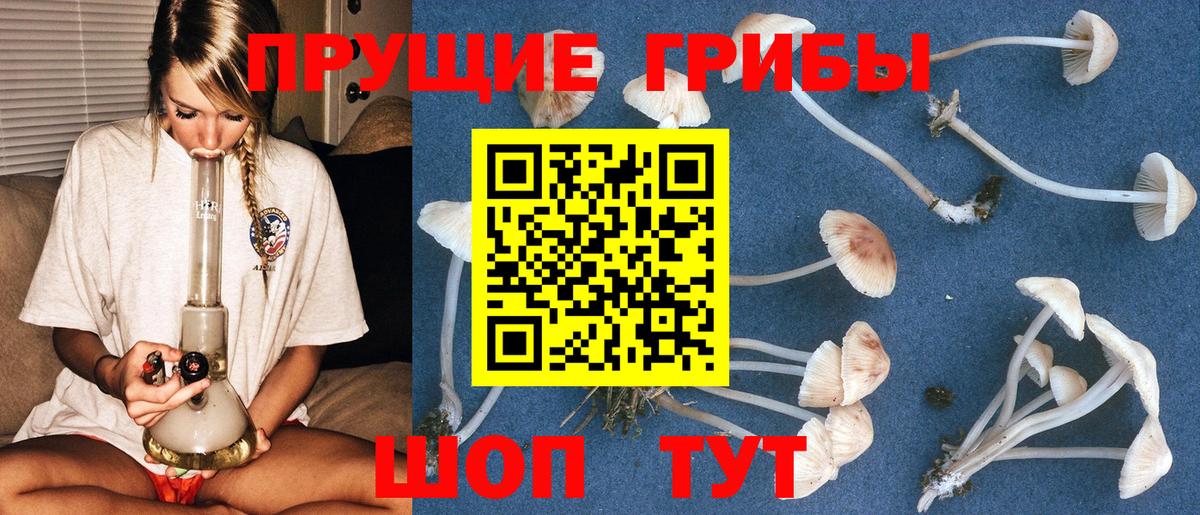 Псилоцибиновые грибы GOLDEN TEACHER  как найти наркотики  Строитель  Вход с VPN 