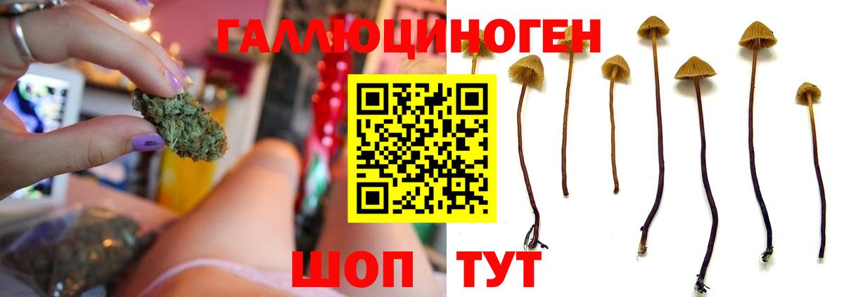 Псилоцибиновые грибы Magic Shrooms Строитель